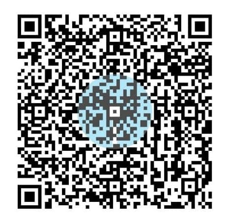 UPI QR Code